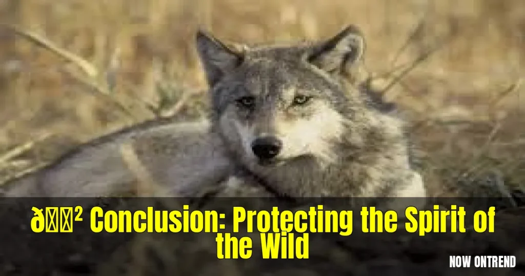 Gray Wolf Genetics: A Key to Conservation 5 Gray Wolf Genetics