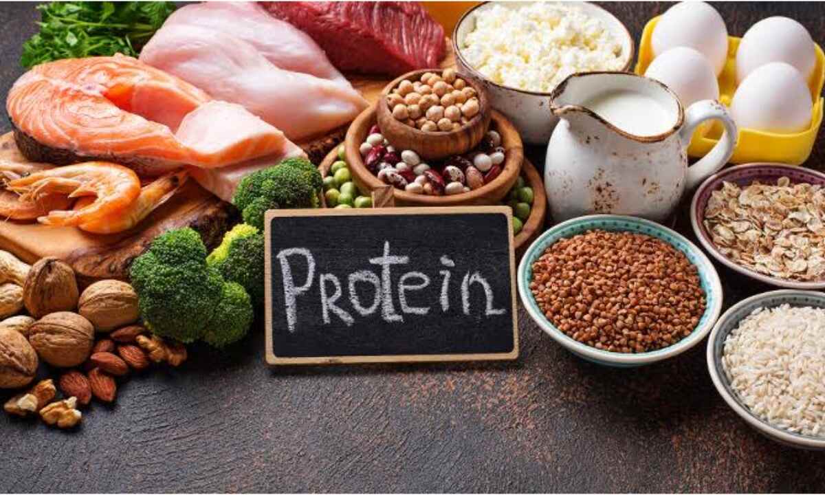 High Protein Diet