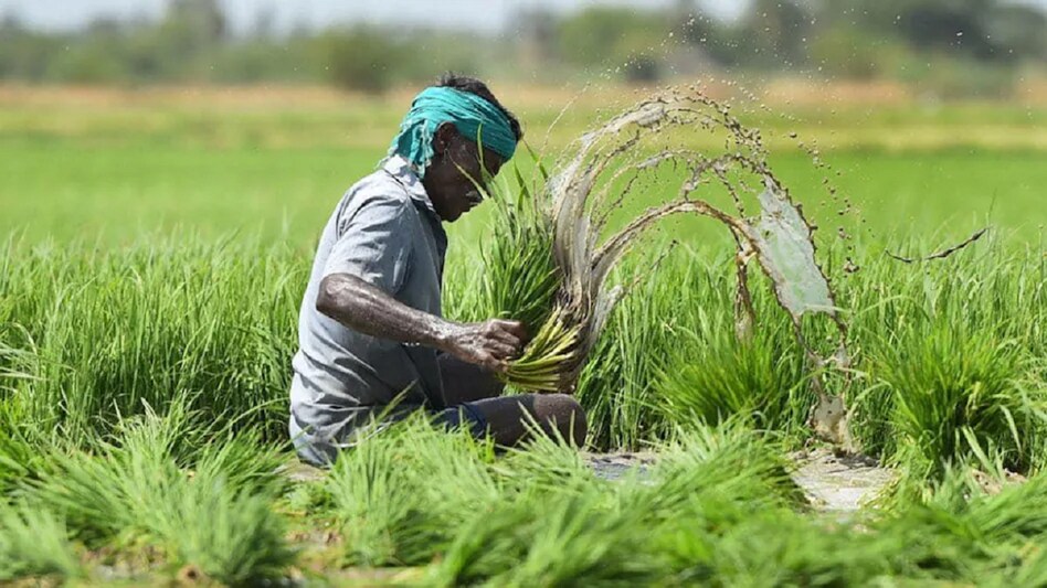 PM Fasal Bima Yojana: Financial Protection for Farmers Against Crop Loss – Complete Details 2 farmer